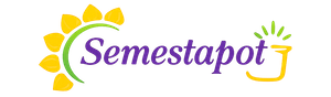 Logo - TOKO SEMESTAPOT